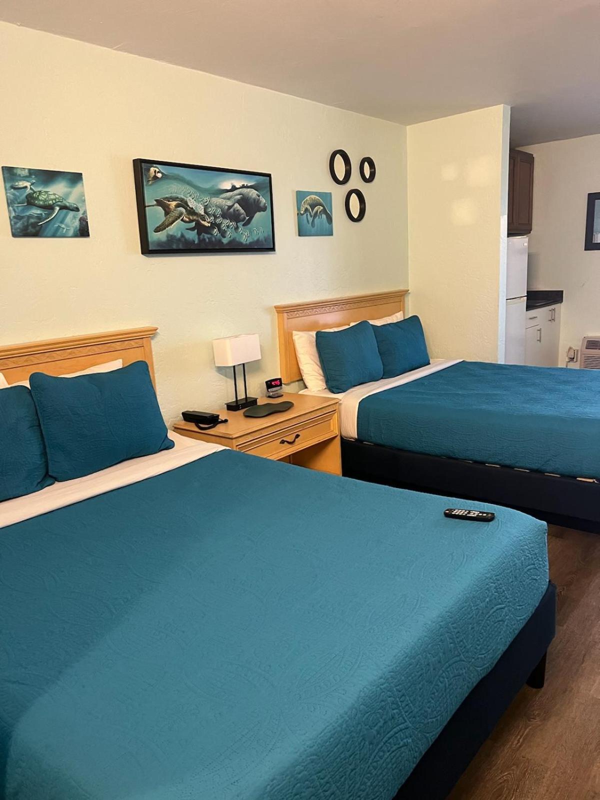 Beachside Hotel - Daytona Beach Shores מראה חיצוני תמונה